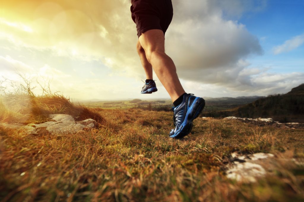 Principles of Training for Distance Runners